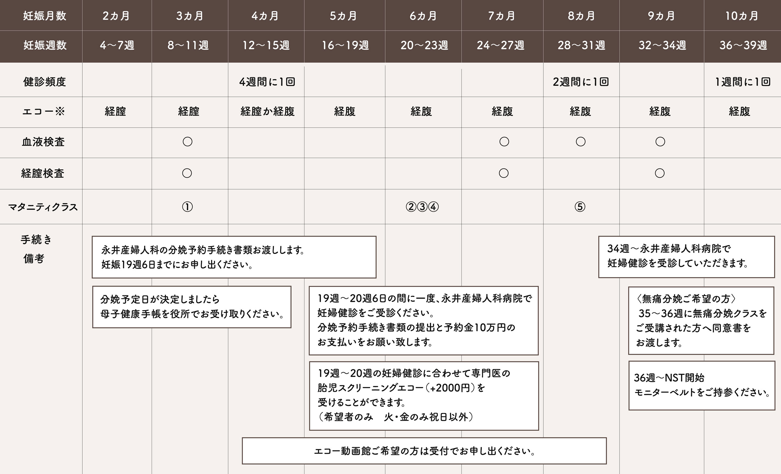 妊婦健診スケジュール